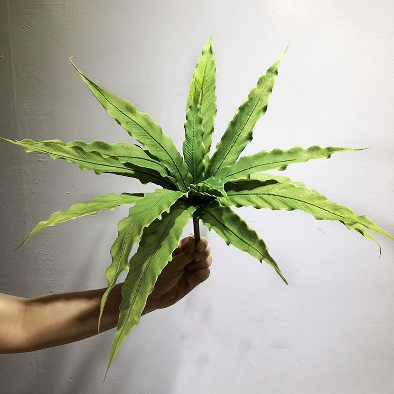 Rubber Plant Ficus - Piante di felce artificiali realistiche 15