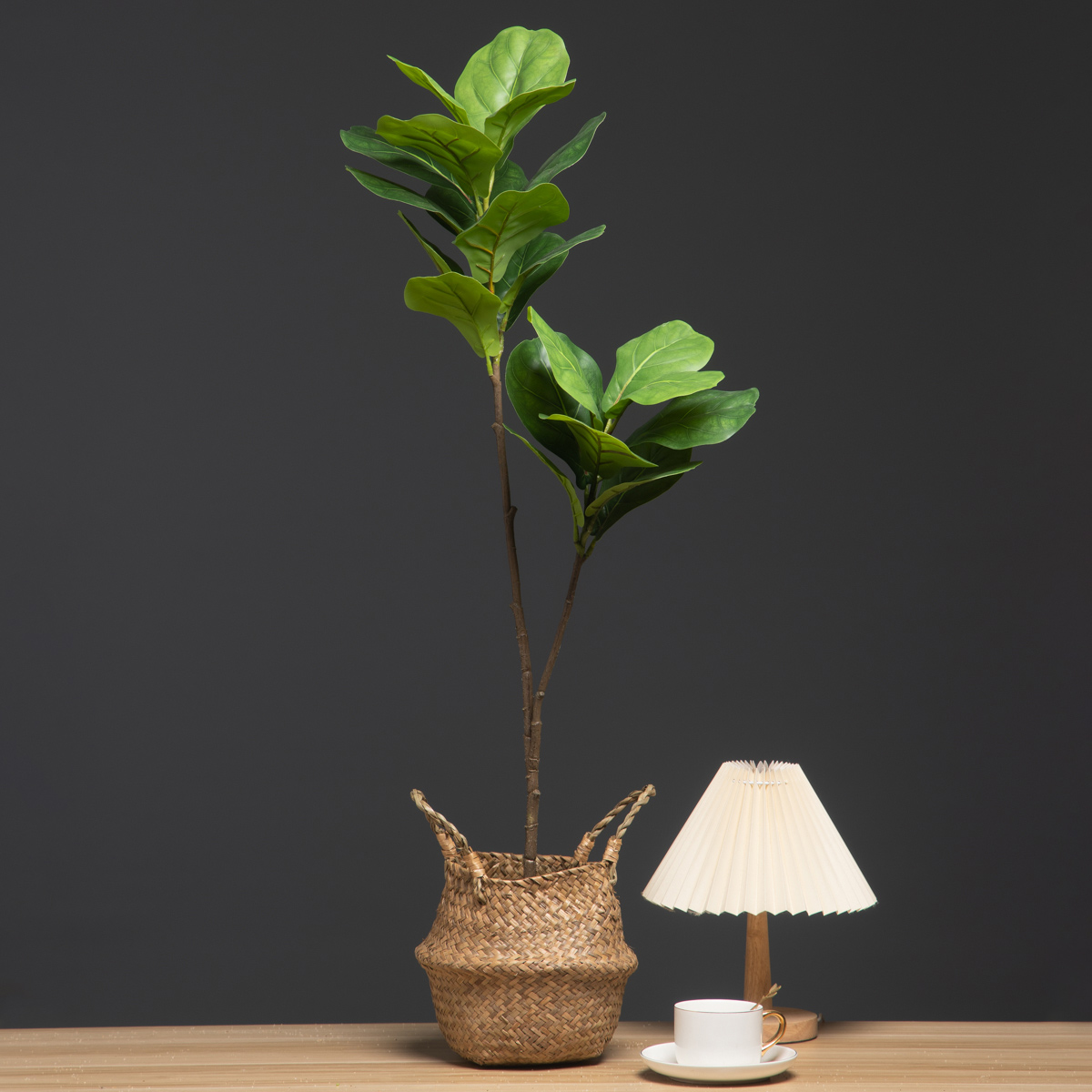 103 cm/132 cm Ramo di albero a - Rubber Plant Ficus recensione e prezzo
