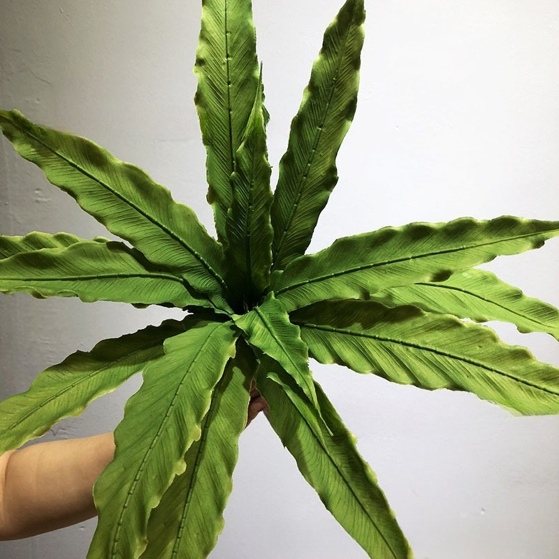Piante di felce artificiali re - Rubber Plant Ficus recensione e prezzo